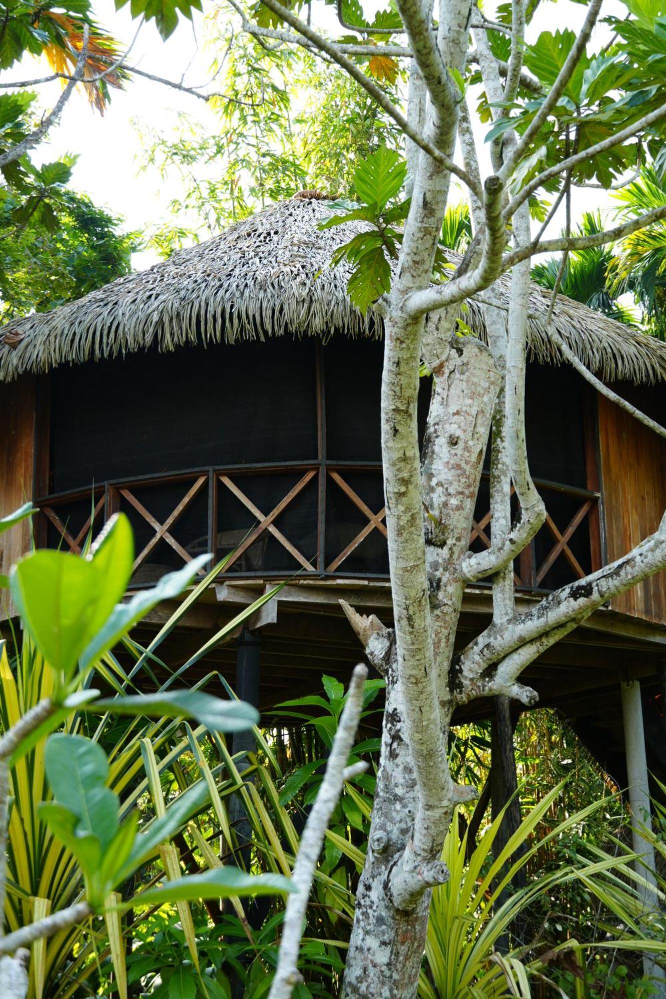 Huma Terra Lodges Hikkaduwa Exteriér fotografie