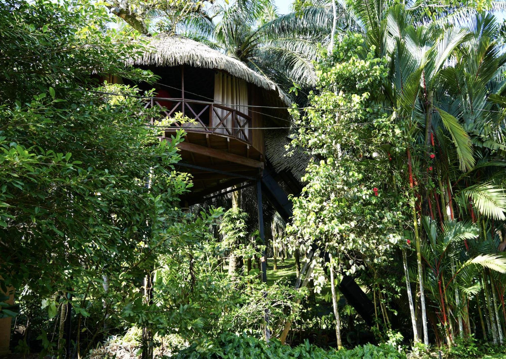 Huma Terra Lodges Hikkaduwa Exteriér fotografie