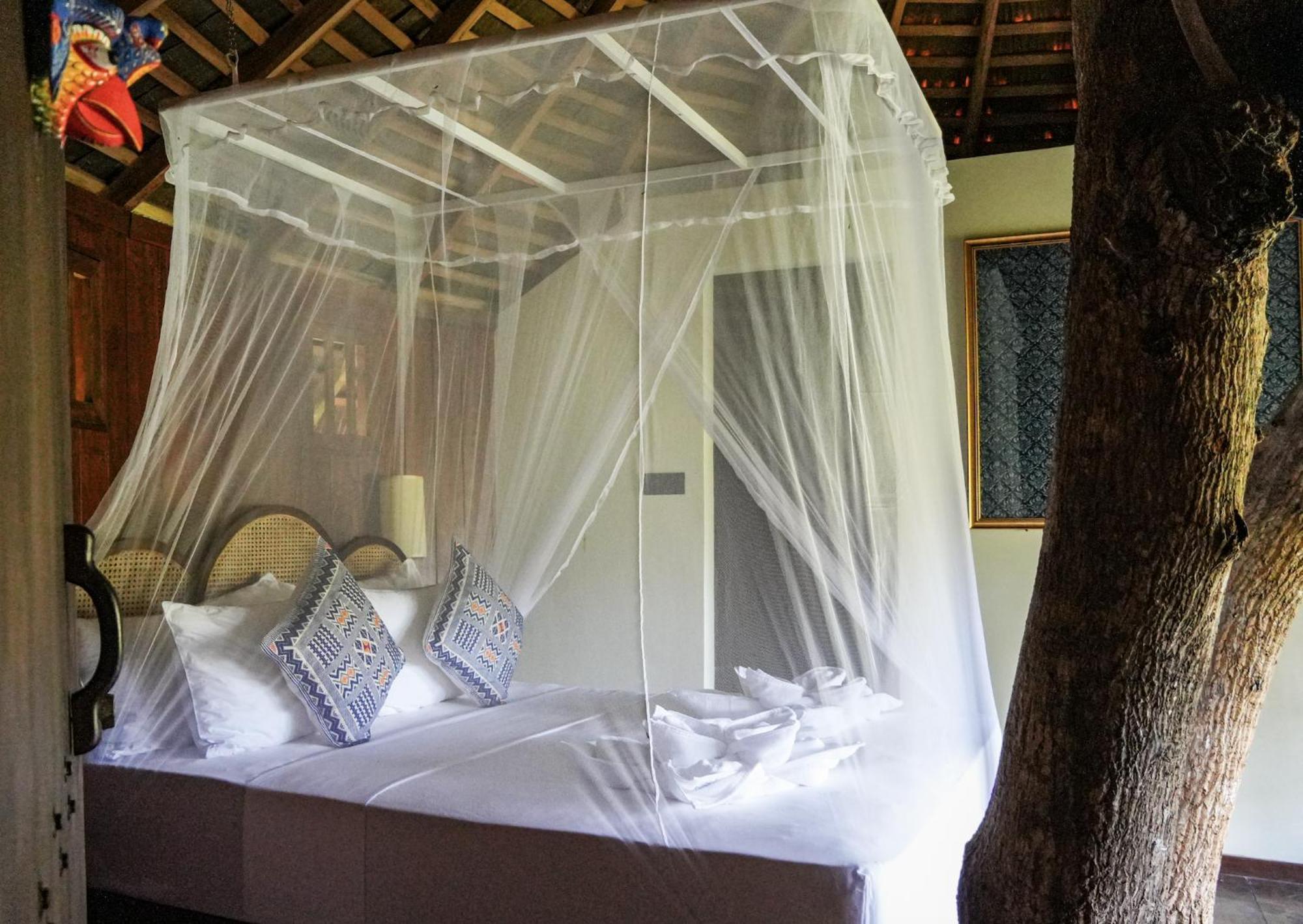 Huma Terra Lodges Hikkaduwa Exteriér fotografie